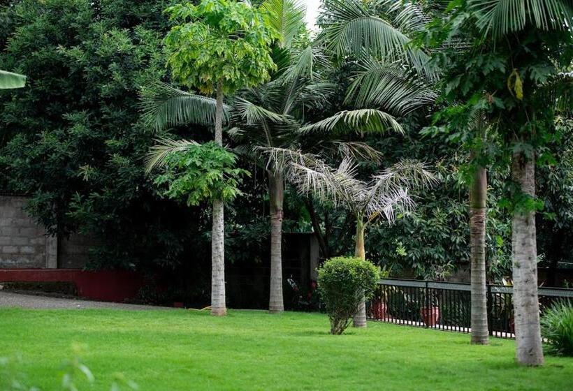 הוסטל Wonderland Home