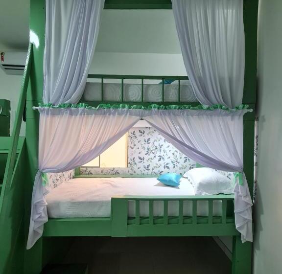 Amazon Check In Hostel Manaus Amazonas