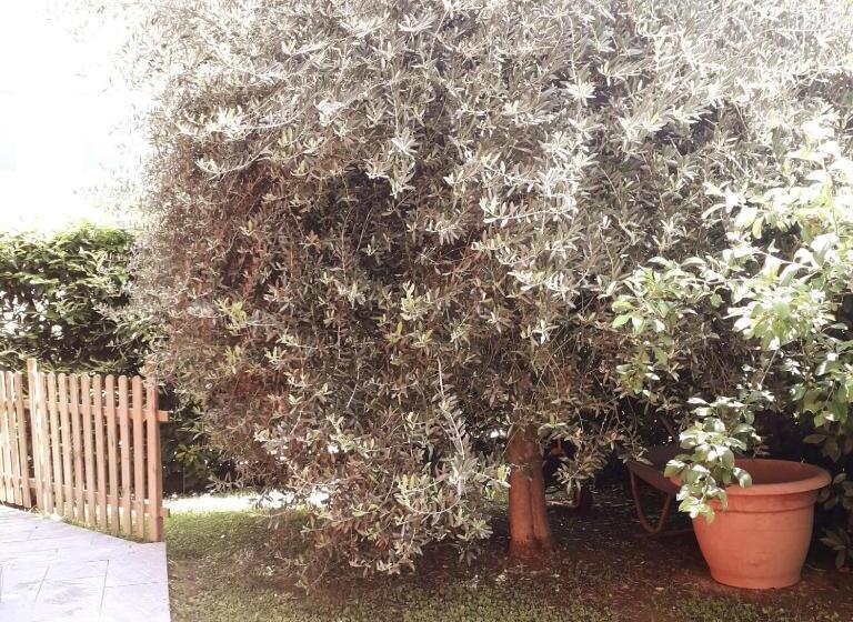 مبيت وإفطار Beb Ulivo