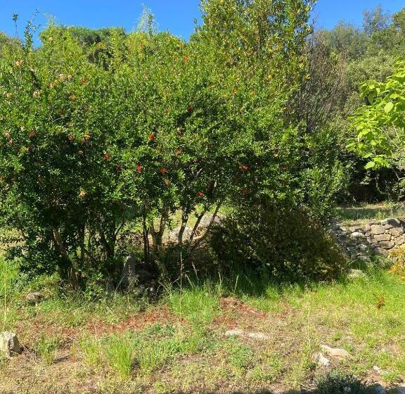 צימר Chambres D Hôtes De La Villa Les Rosiers   Eglantine