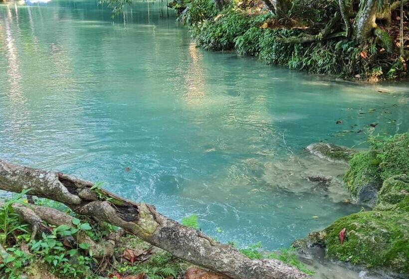 تختخواب و صبحانه Chateau Charme