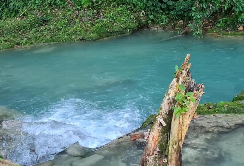 تختخواب و صبحانه Chateau Charme