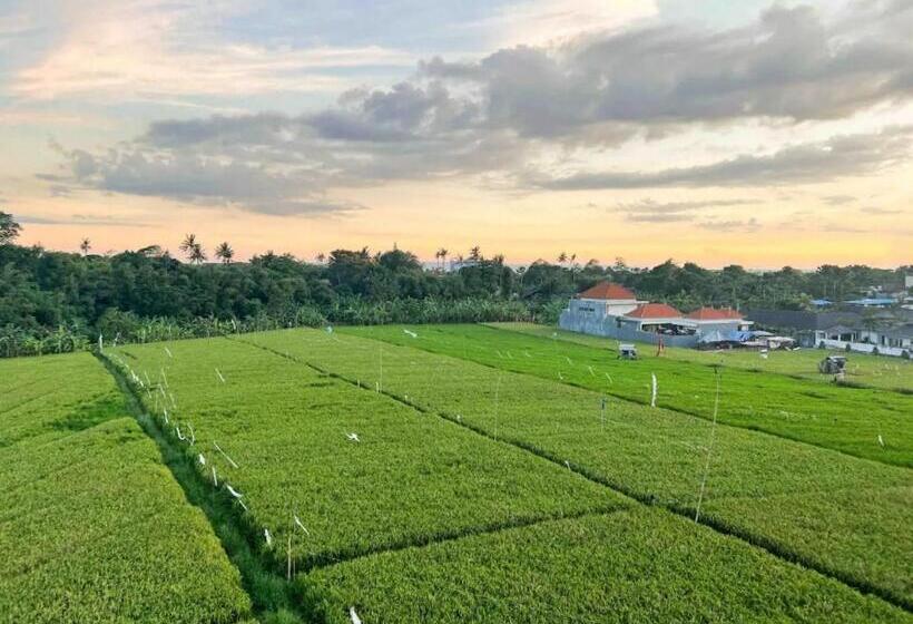 צימר Elias House In Gang Mango