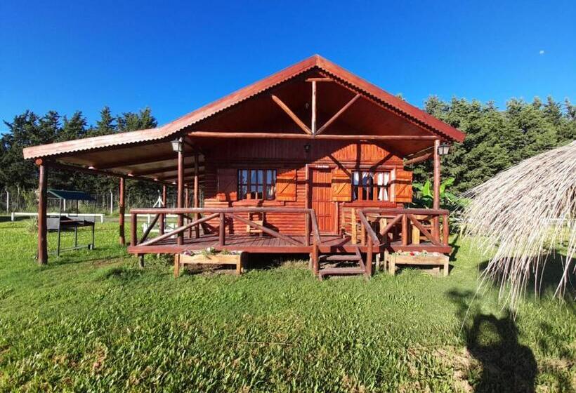 مبيت وإفطار Las Torres Del Sol