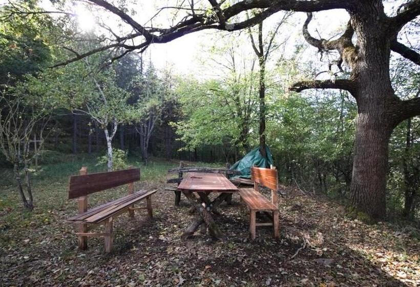 צימר Stanza Nel Bosco Alla Canova Di Biforco