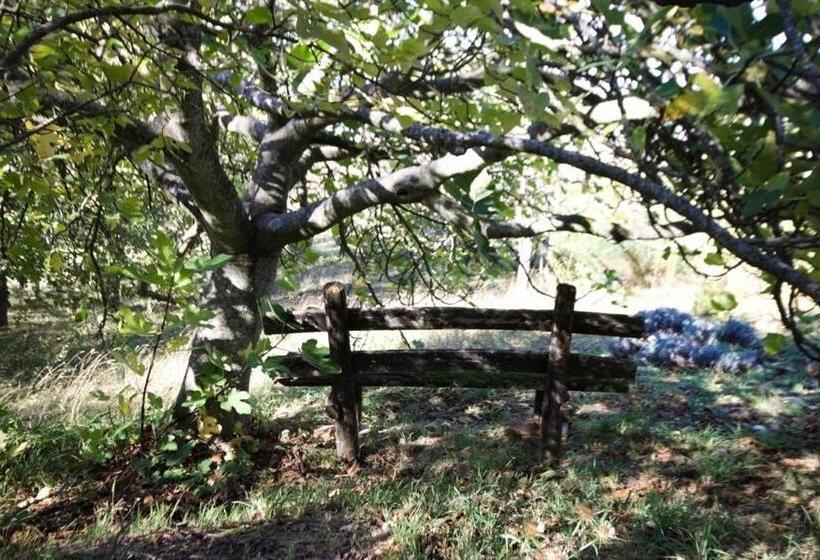 צימר Stanza Nel Bosco Alla Canova Di Biforco