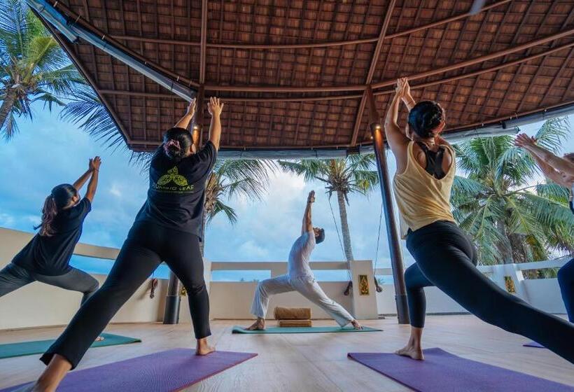 צימר The Bodhi Leaf Wellness Resort