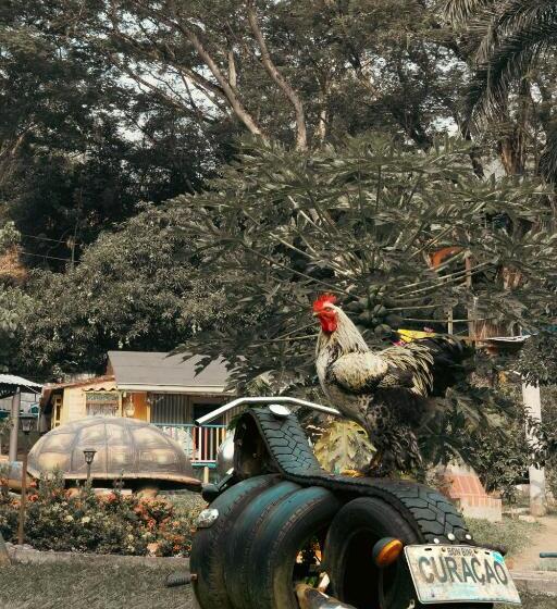 Eco Hotel El Acuario