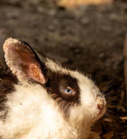 Eco Hotel El Acuario