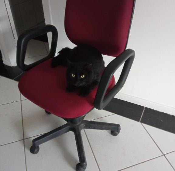 Hostel E Pousada Orquídea