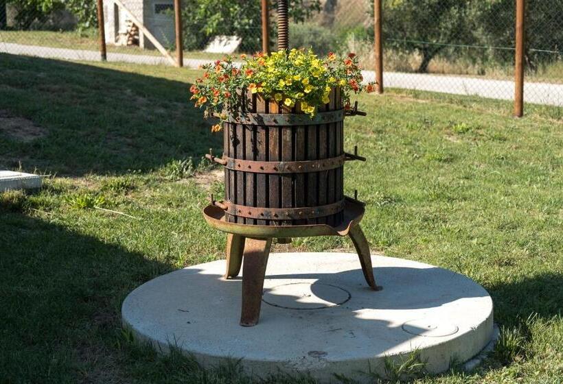 בית מלון כפרי Agriturismo La Sorgente