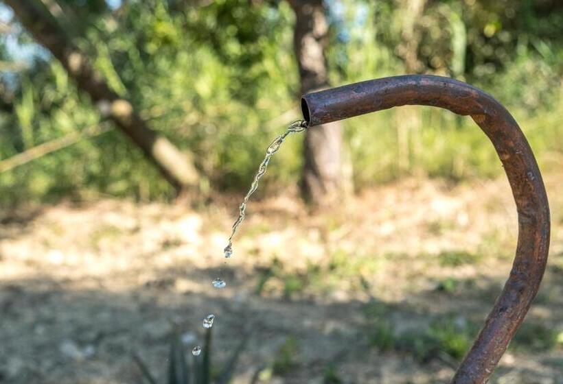 בית מלון כפרי Agriturismo La Sorgente