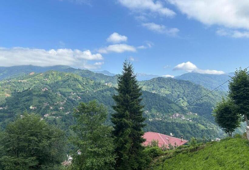 ホテル Alfa Dağevleri