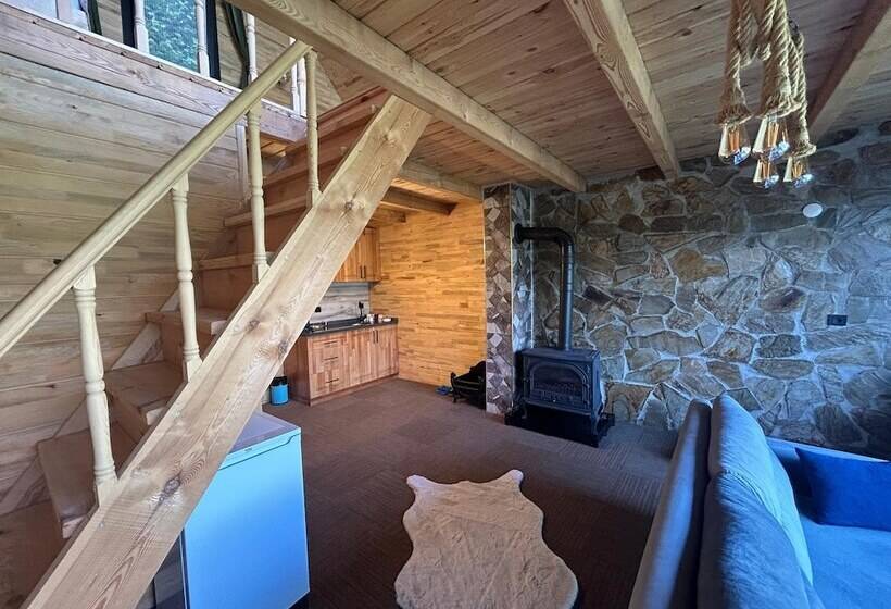 ホテル Alfa Dağevleri