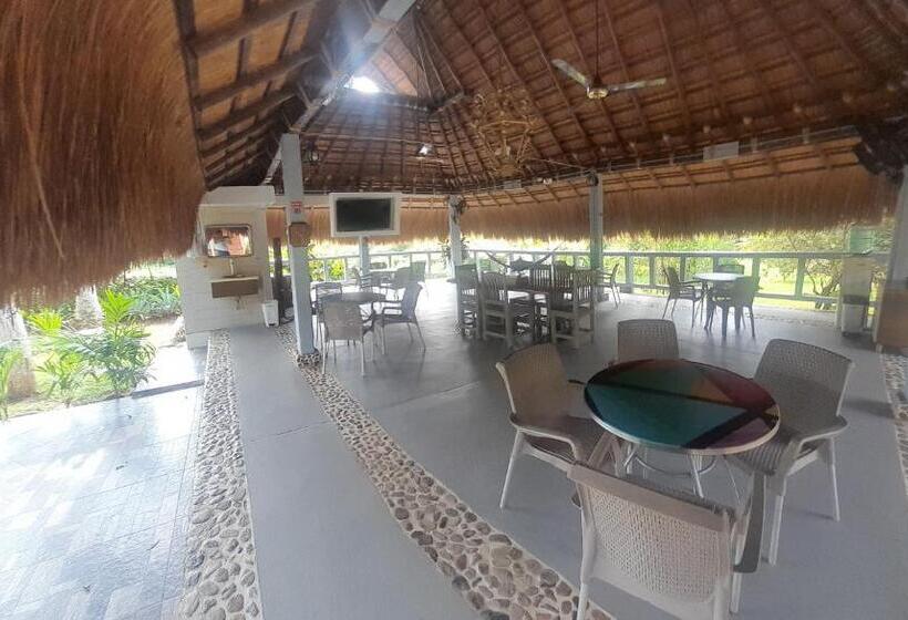 Отель Cabañas La Palma