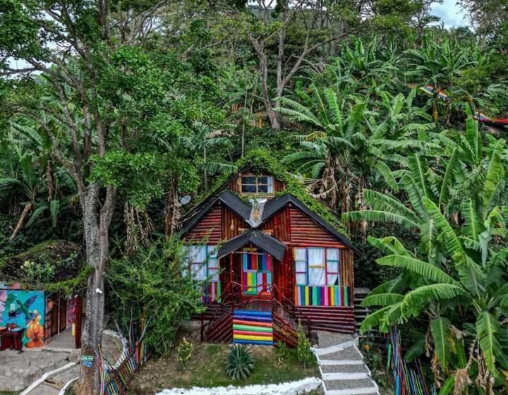 בית מלון כפרי Nidos De Pajaros