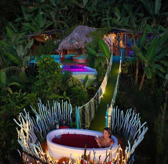 هتل Nidos De Pajaros