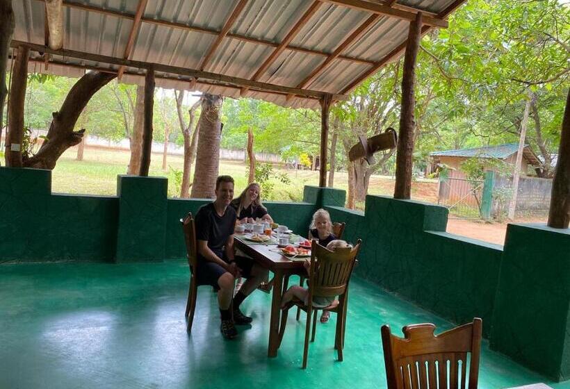 Отель Sigiri Treehouse