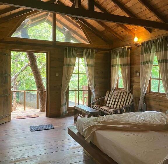 Отель Sigiri Treehouse