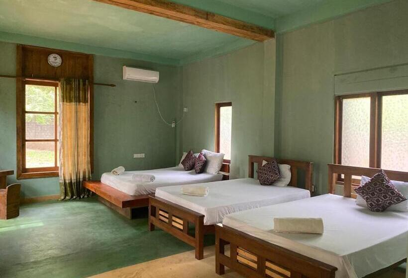 Отель Sigiri Treehouse