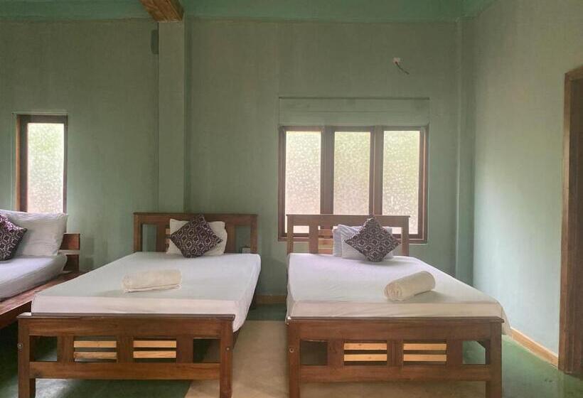 Отель Sigiri Treehouse