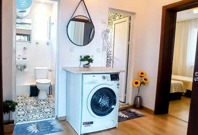 膳宿费 къща за гости веселина ивайловград