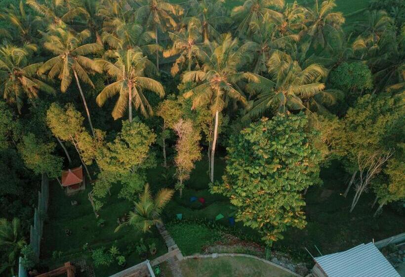 פנסיון Bali Made Escape