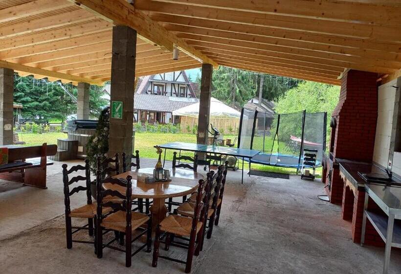 بنسيون Casa Bobu Arieseni