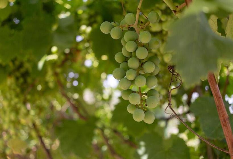 Пансион Corallo House