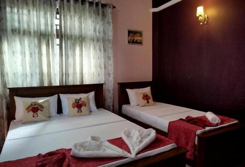 بنسيون White Palace