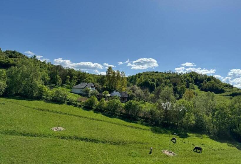 ペンション Evenimente Edelweiss