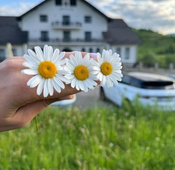 بنسيون Evenimente Edelweiss