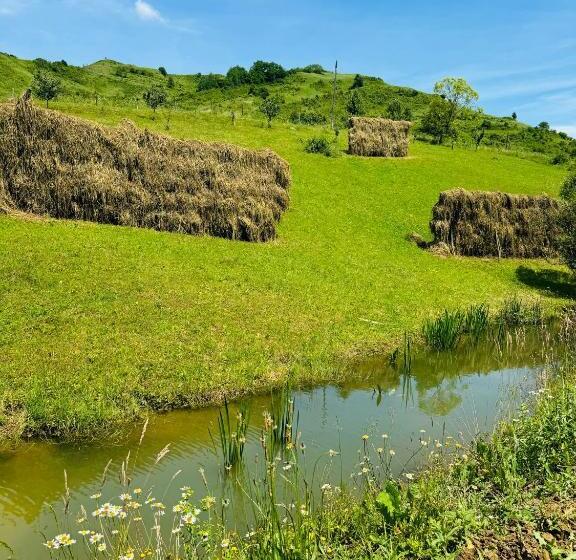 ペンション Evenimente Edelweiss