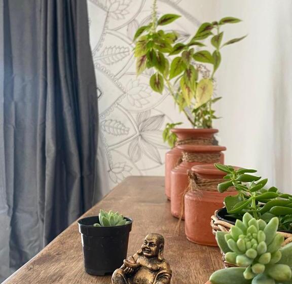 بنسيون Floriarte Guest House