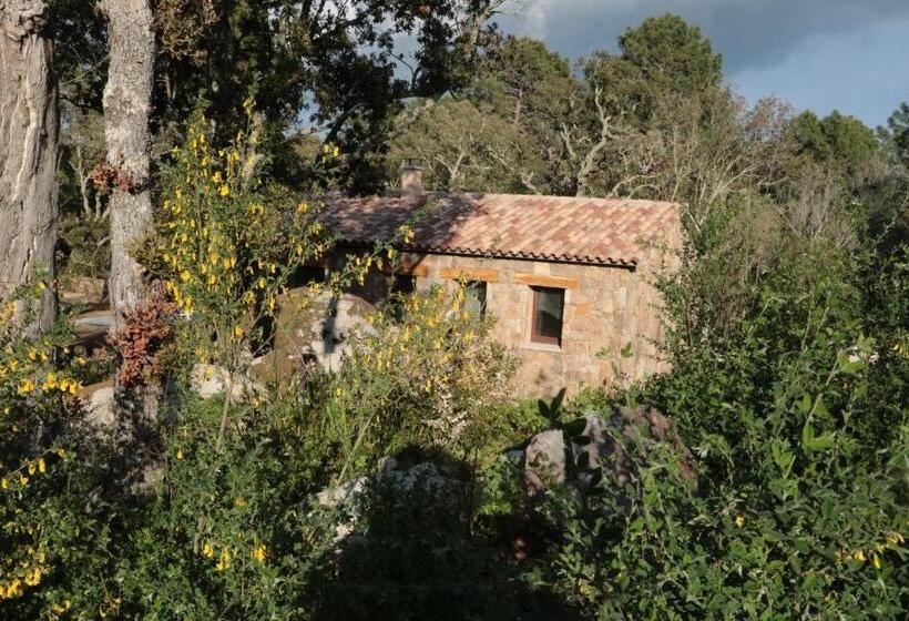 Пансион Hameau De Petripini