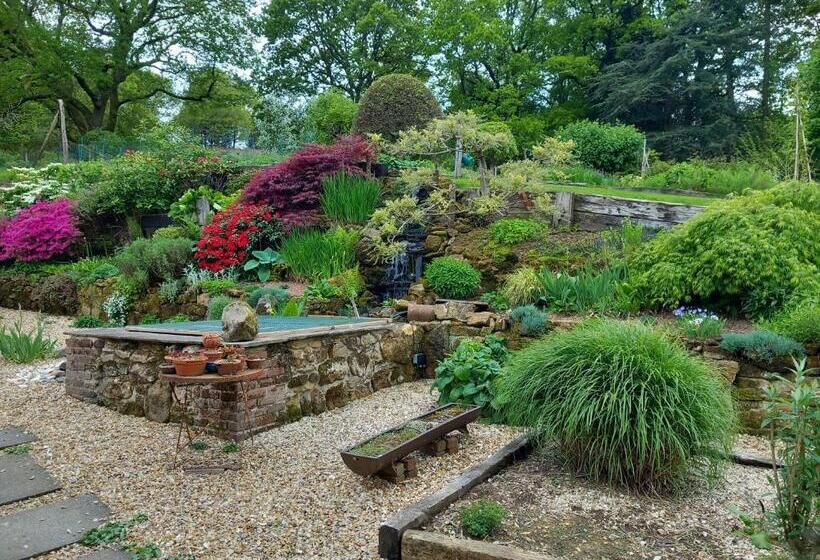 بنسيون Honey House