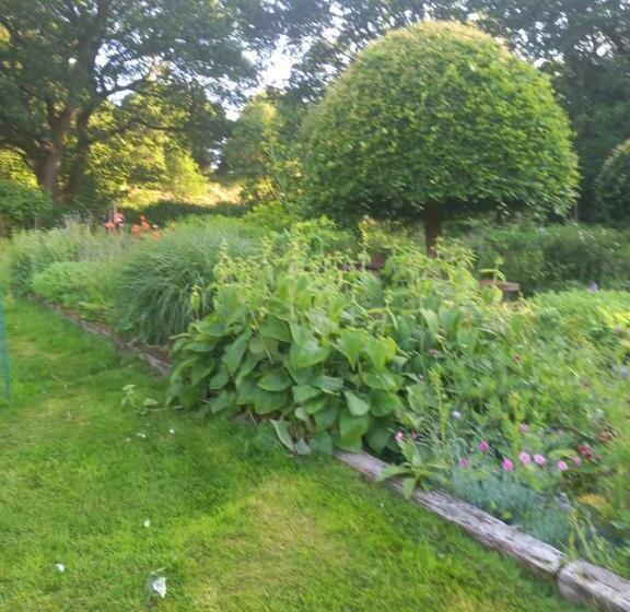 بنسيون Honey House