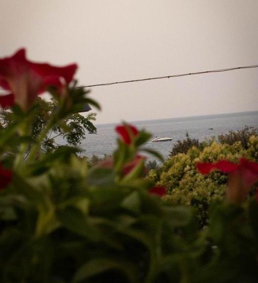 פנסיון La Casa Di Mest Pepp