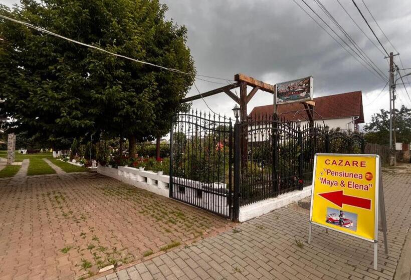 膳宿费 Maya & Elena