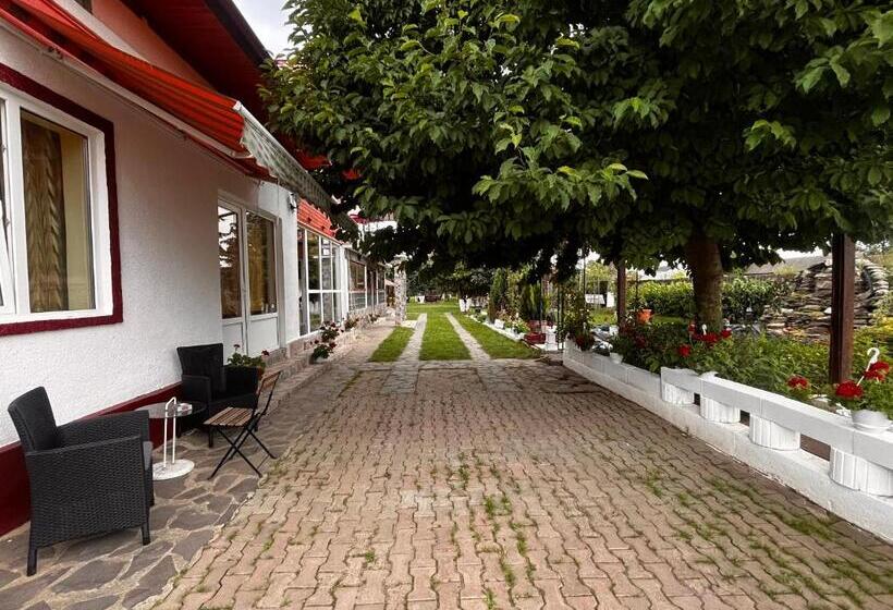 膳宿费 Maya & Elena