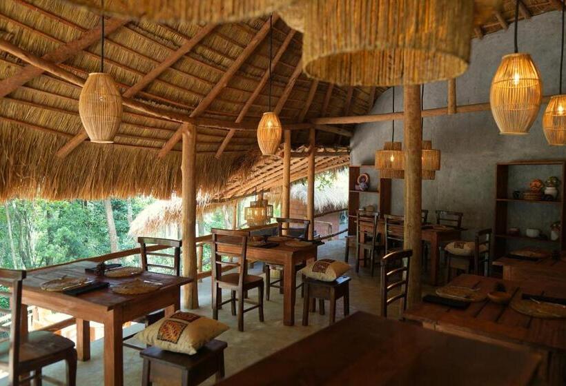 אתר נופש Gaga Bees Ella