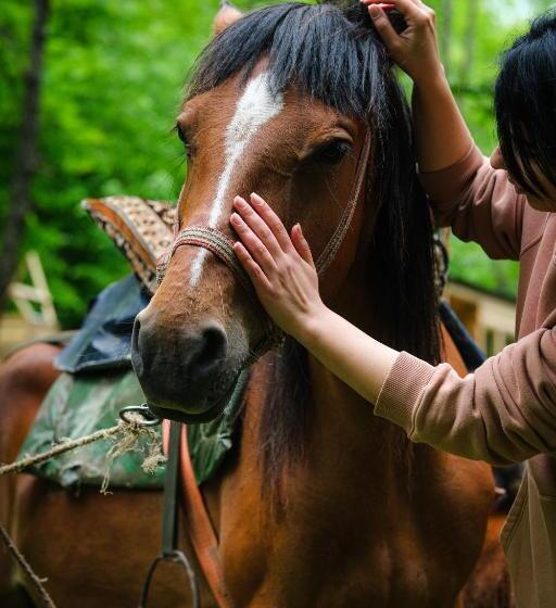 منتجع Homeland Motkor