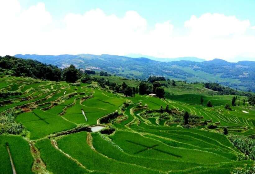 הוסטל Belinda Backpackers Guesthouse