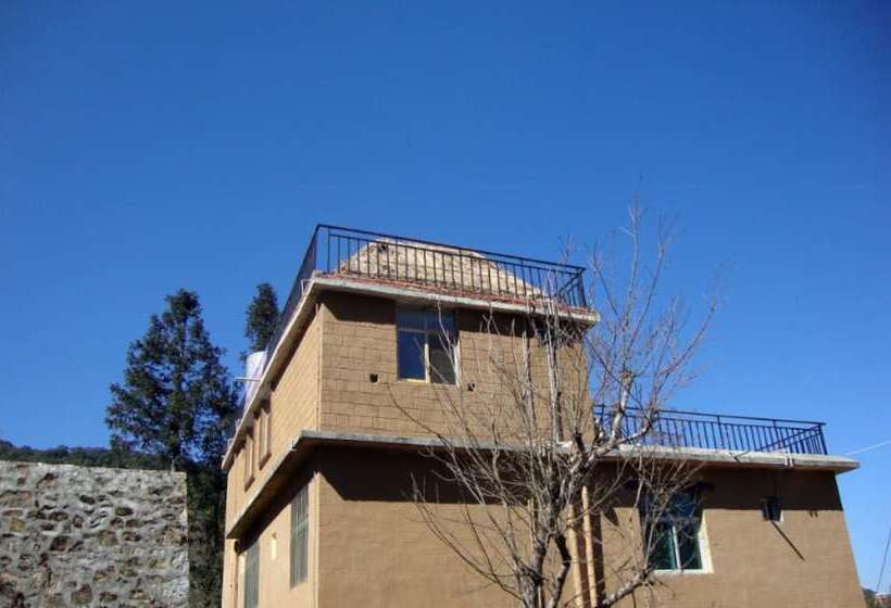 הוסטל Belinda Backpackers Guesthouse