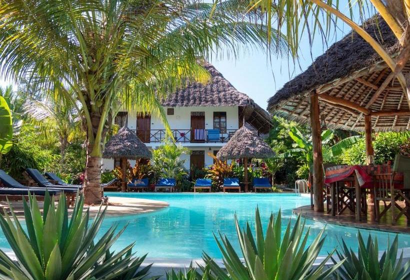 ベッドアンドブレックファースト Maisha Nungwi   Boutique