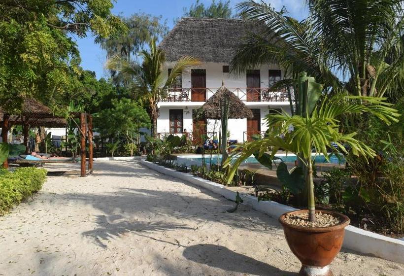 ベッドアンドブレックファースト Maisha Nungwi   Boutique