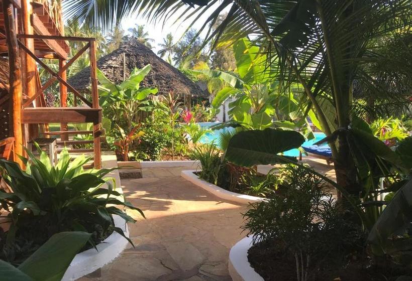 ベッドアンドブレックファースト Maisha Nungwi   Boutique