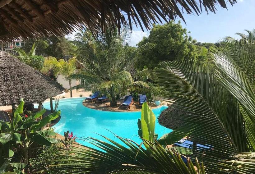 ベッドアンドブレックファースト Maisha Nungwi   Boutique