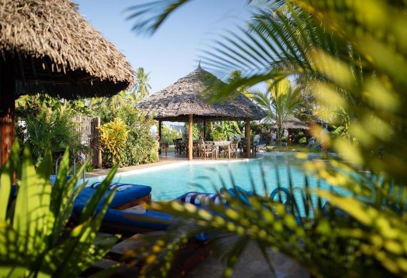 ベッドアンドブレックファースト Maisha Nungwi   Boutique