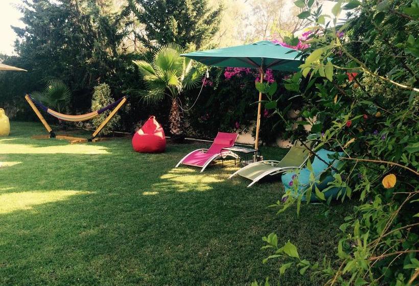 تختخواب و صبحانه Dar Khereddine